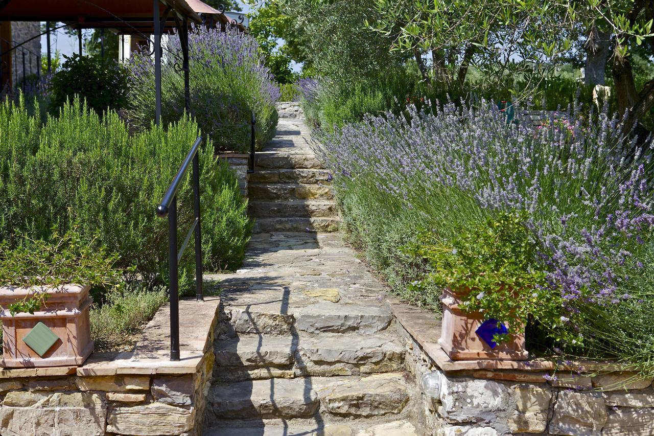 Bed and Breakfast Fonte Magia Castel de' Fiori Zewnętrze zdjęcie