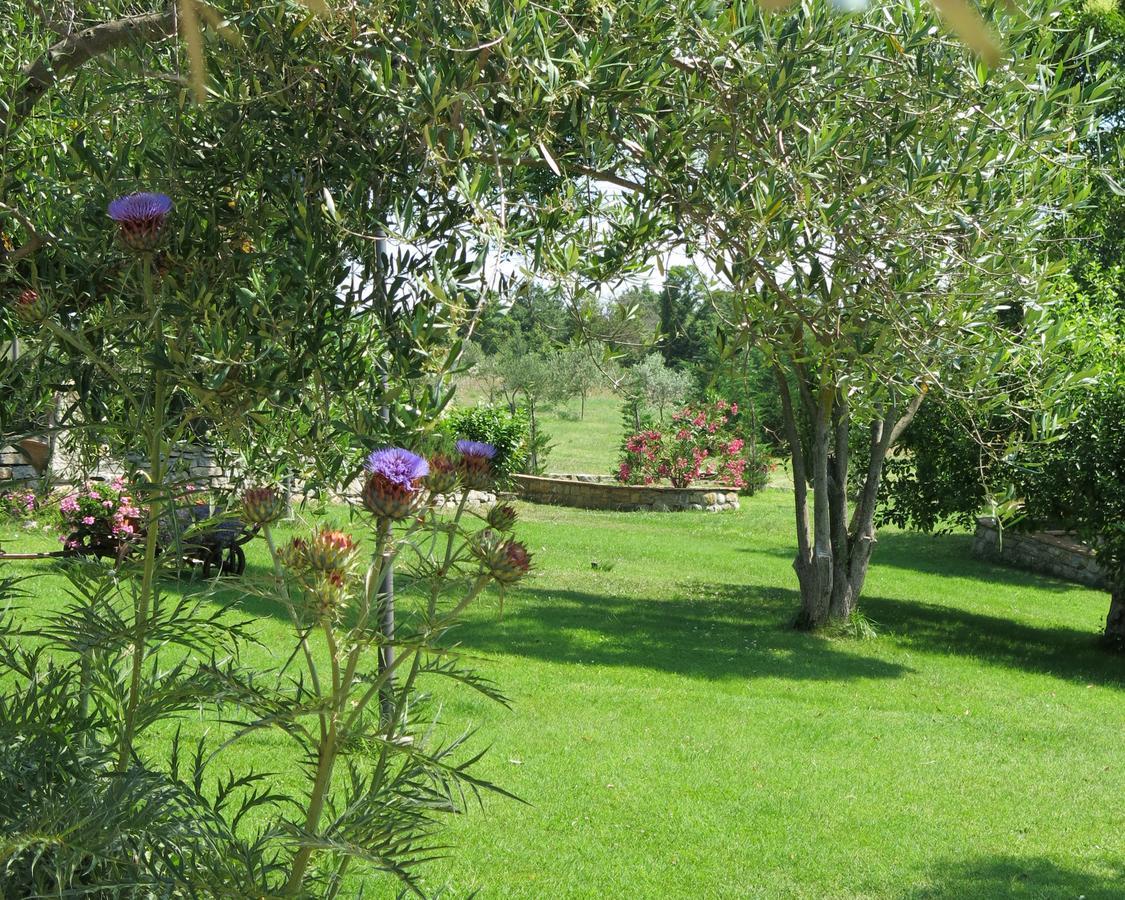 Bed and Breakfast Fonte Magia Castel de' Fiori Zewnętrze zdjęcie
